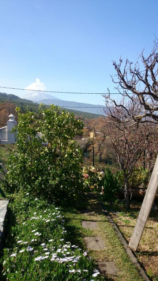 El Pajar De Ines Guest House La Orotava Bagian luar foto