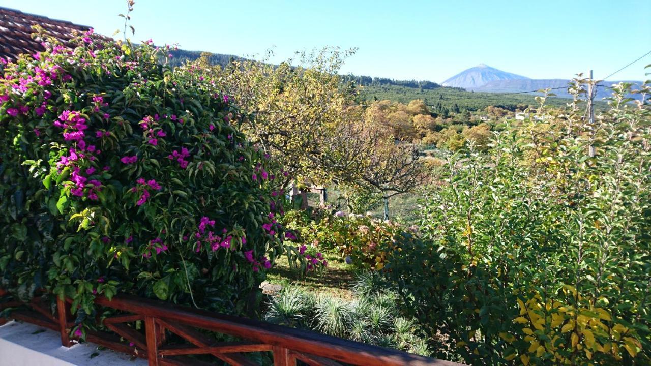 El Pajar De Ines Guest House La Orotava Bagian luar foto